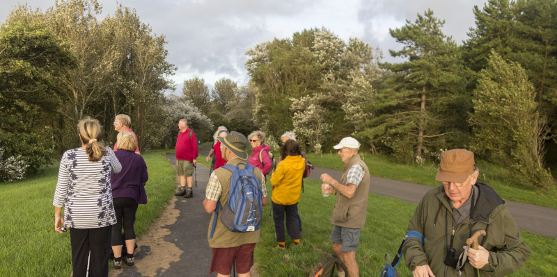 Photograph of Walking Route - Image 17