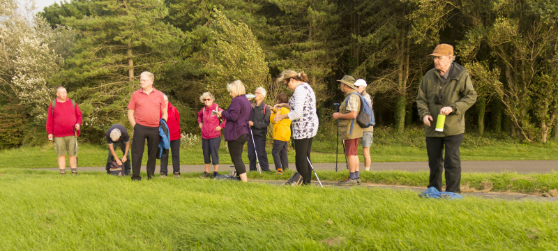 Photograph of Walking Route - Image 18