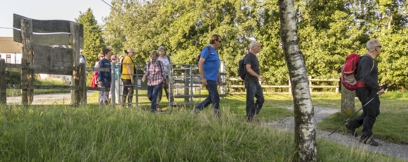 Photograph of Walking Route - Image 6