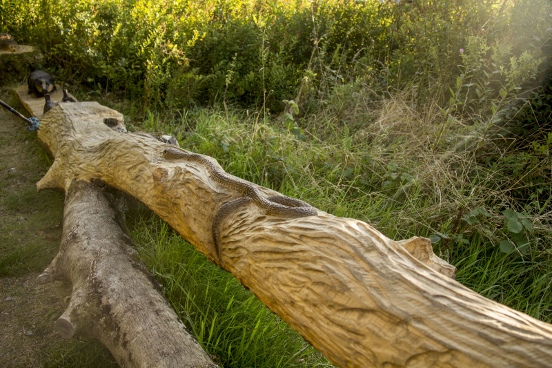 Photograph of Walking Route - Image 8