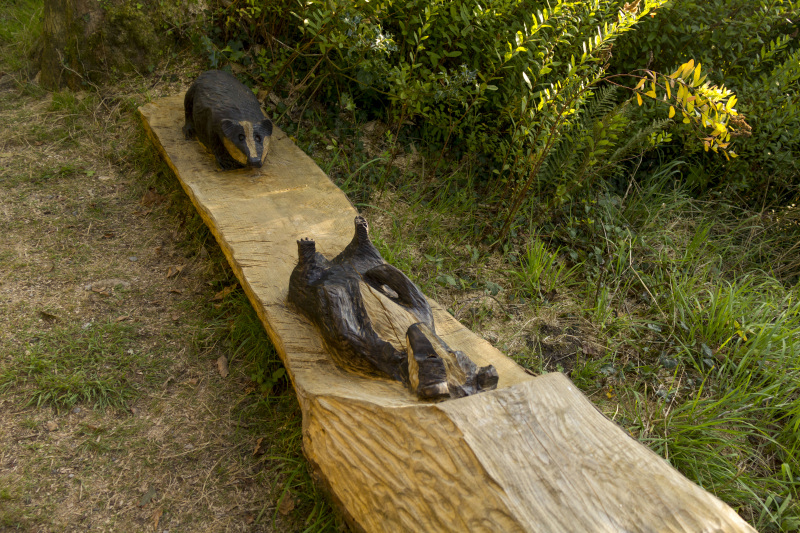 Photograph of Walking Route - Image 9