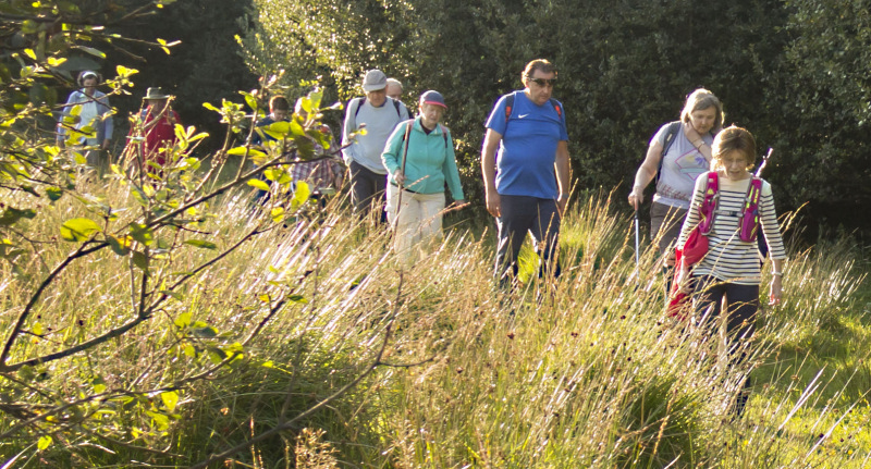 Photograph of Walking Route - Image 19