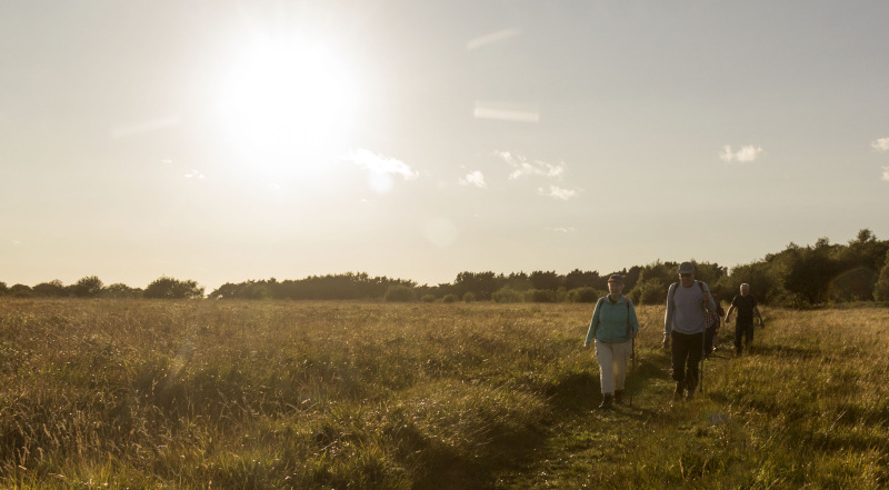 Photograph of Walking Route - Image 22