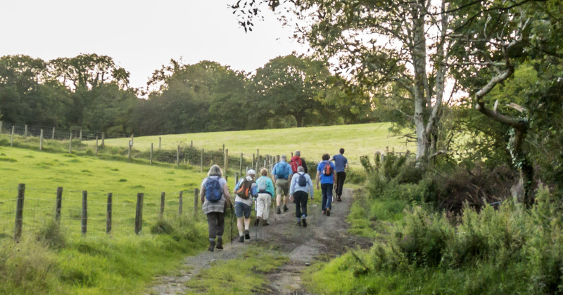 Photograph of Walking Route - Image 35