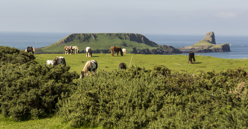 Photograph of Walking Route - Image 6