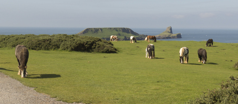 Photograph of Walking Route - Image 7