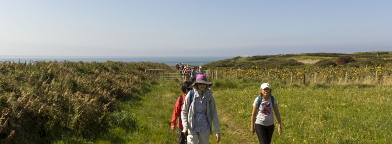 Photograph of Walking Route - Image 25