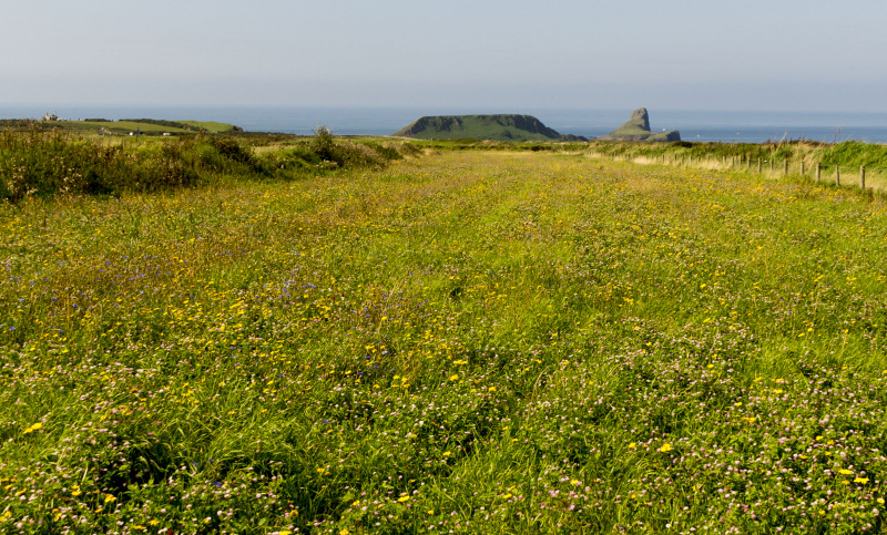 Photograph of Walking Route - Image 26