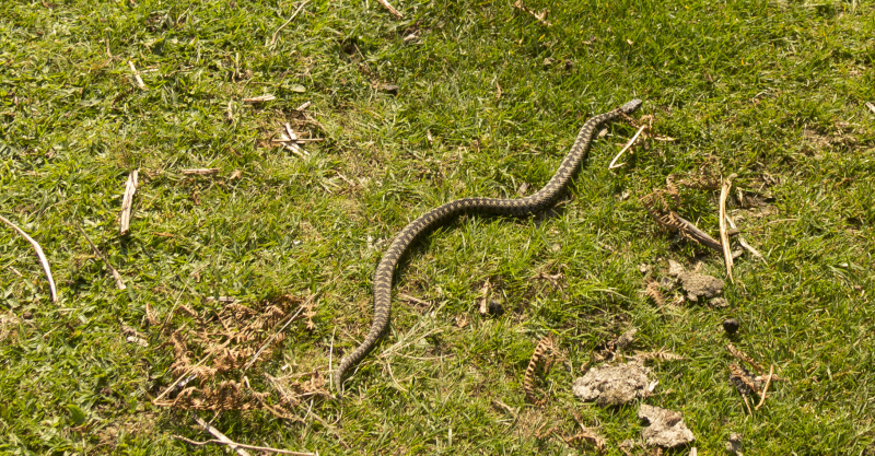 Photograph of Walking Route - Image 59