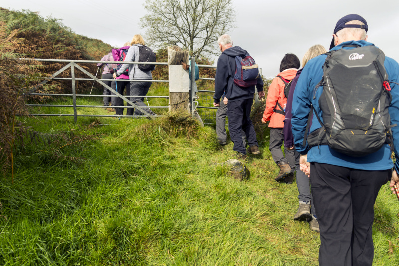 Photograph of Walking Route - Image 5