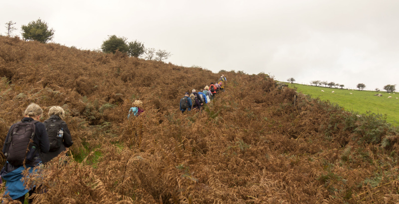 Photograph of Walking Route - Image 6