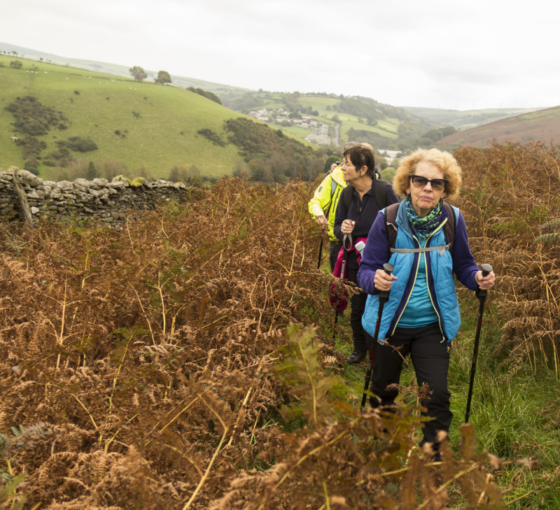 Photograph of Walking Route - Image 7