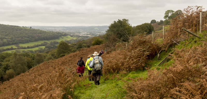 Photograph of Walking Route - Image 8