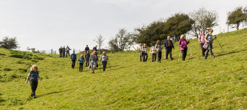 Photograph of Walking Route - Image 37