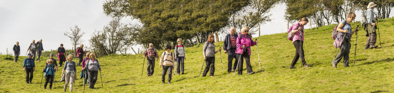 Photograph of Walking Route - Image 39