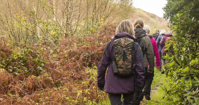 Photograph of Walking Route - Image 5