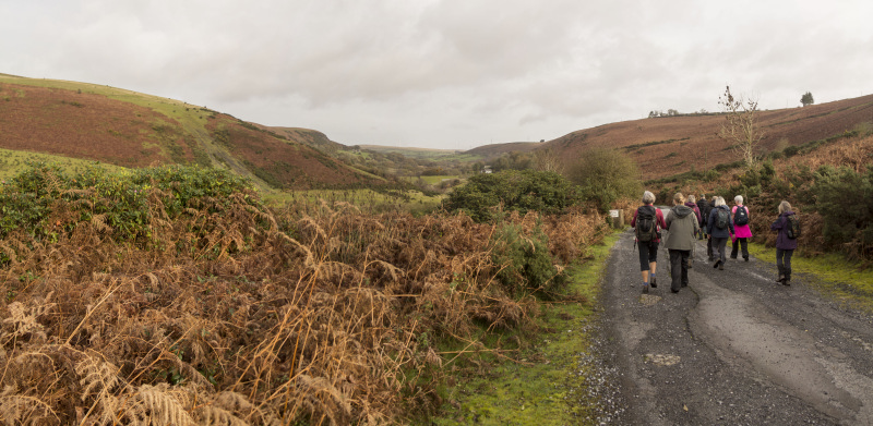 Photograph of Walking Route - Image 6