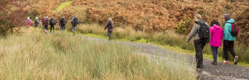 Photograph of Walking Route - Image 8