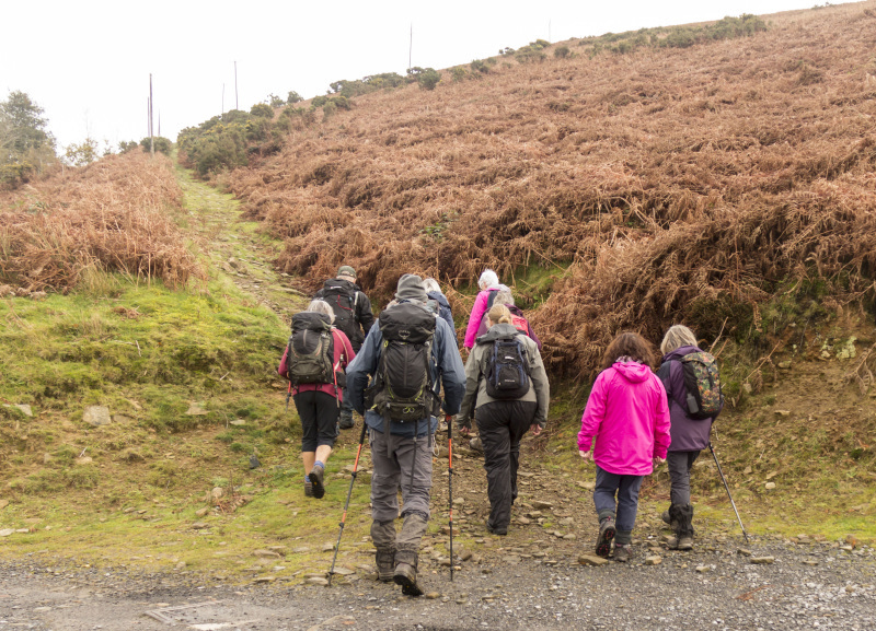 Photograph of Walking Route - Image 11