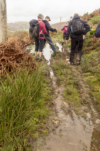 Photograph of Walking Route - Image 12