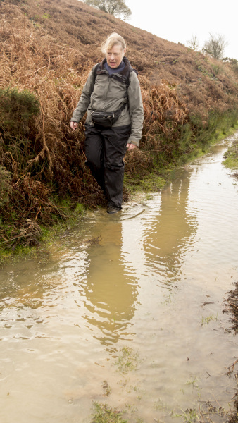 Photograph of Walking Route - Image 14