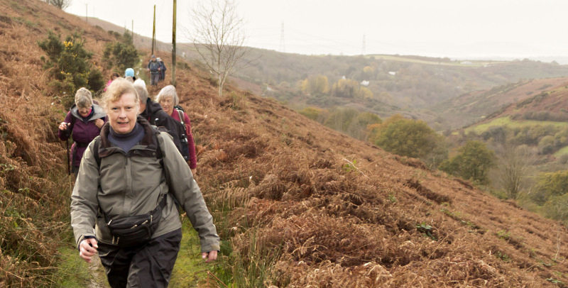 Photograph of Walking Route - Image 15