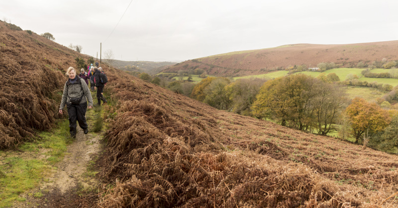 Photograph of Walking Route - Image 16