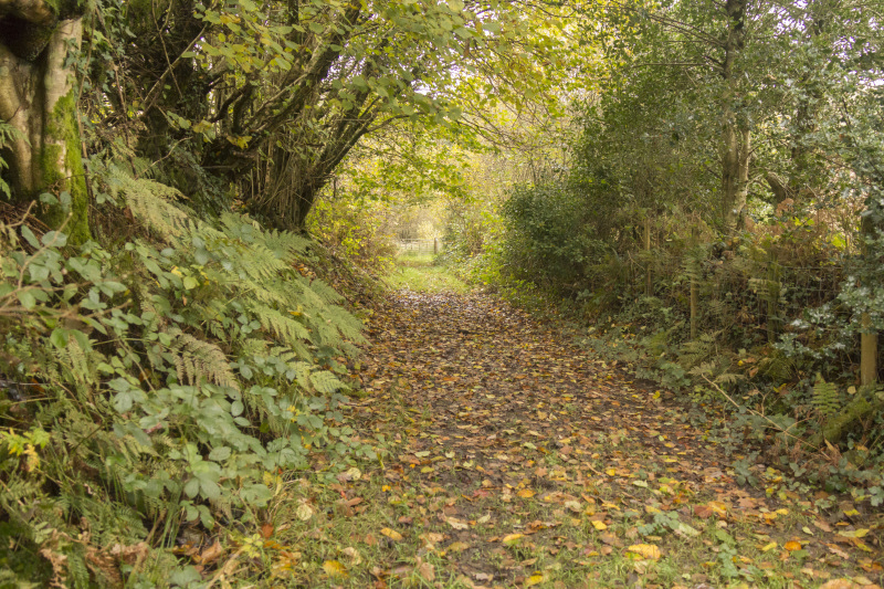 Photograph of Walking Route - Image 32