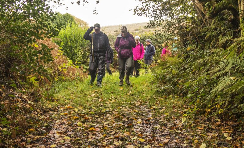 Photograph of Walking Route - Image 33