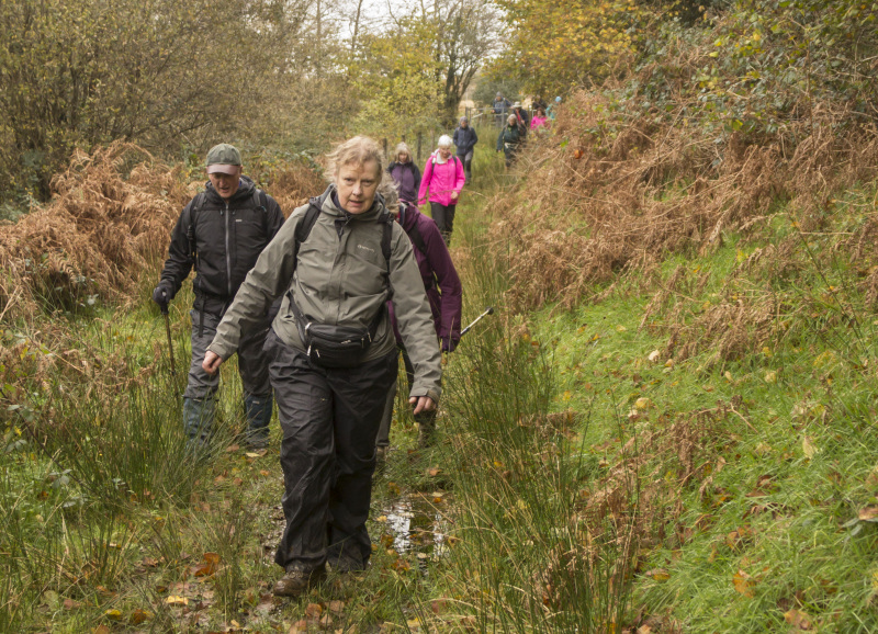 Photograph of Walking Route - Image 34