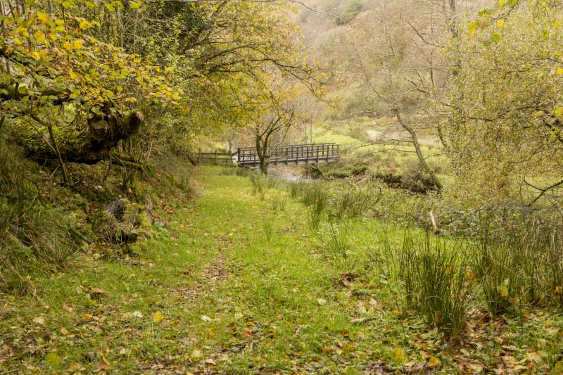 Photograph of Walking Route - Image 35