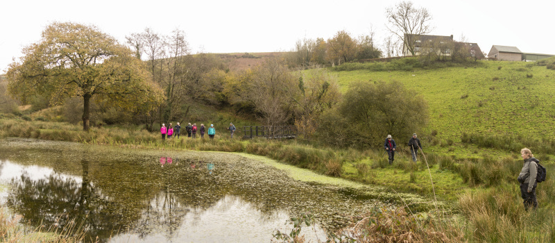 Photograph of Walking Route - Image 39