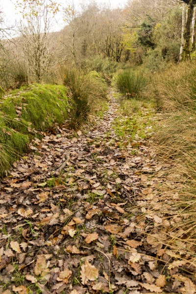 Photograph of Walking Route - Image 40