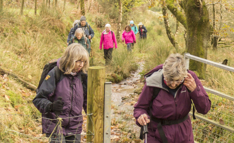 Photograph of Walking Route - Image 41