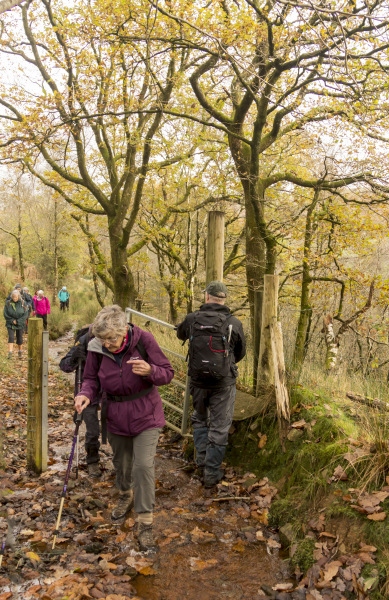 Photograph of Walking Route - Image 42