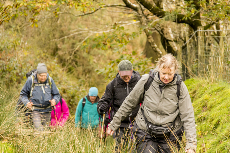 Photograph of Walking Route - Image 43