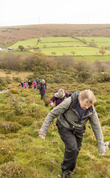 Photograph of Walking Route - Image 44