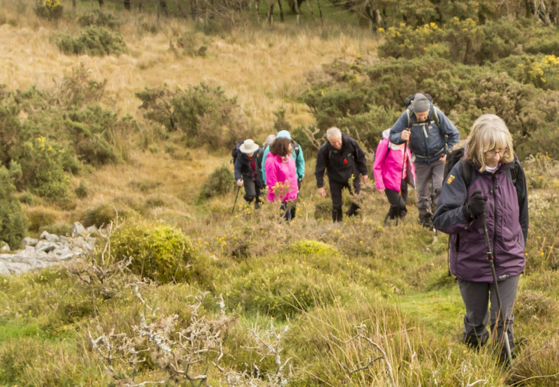 Photograph of Walking Route - Image 45