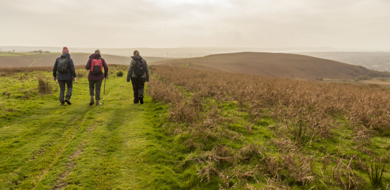 Photograph of Walking Route - Image 53