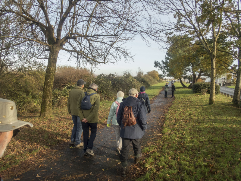 Photograph of Walking Route - Image 8