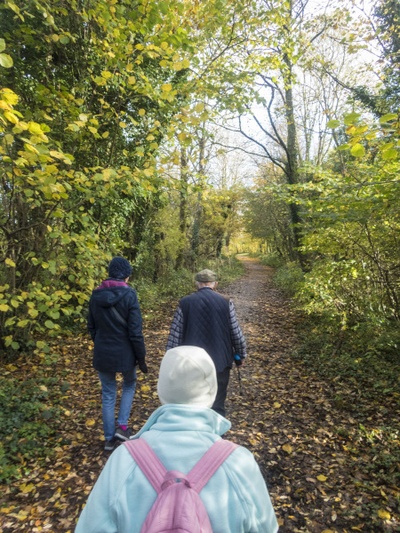 Photograph of Walking Route - Image 15