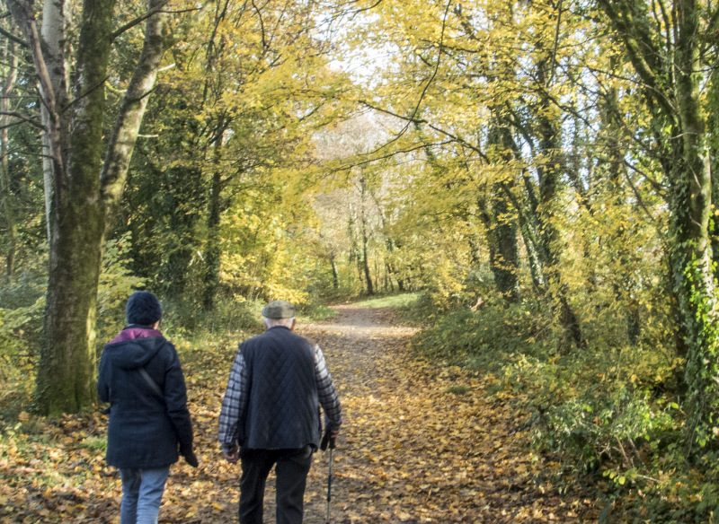 Photograph of Walking Route - Image 16