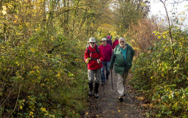 Photograph of Walking Route - Image 17