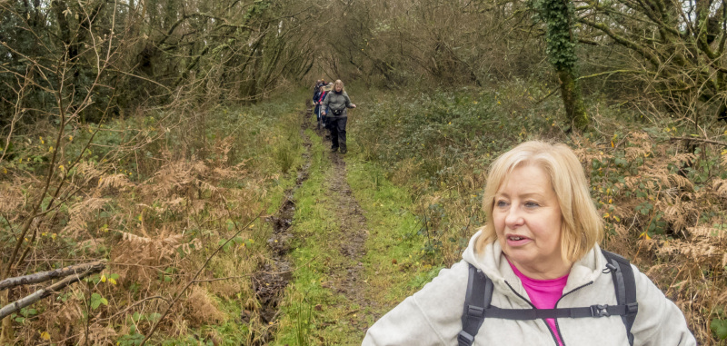 Photograph of Walking Route - Image 9