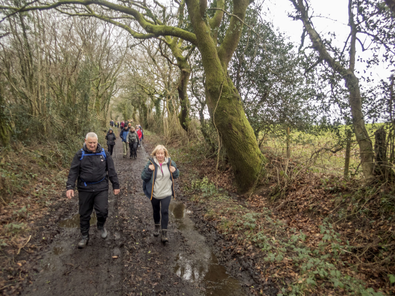 Photograph of Walking Route - Image 10