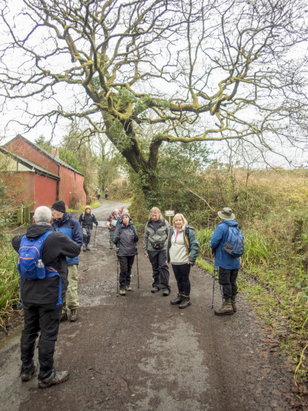 Photograph of Walking Route - Image 13