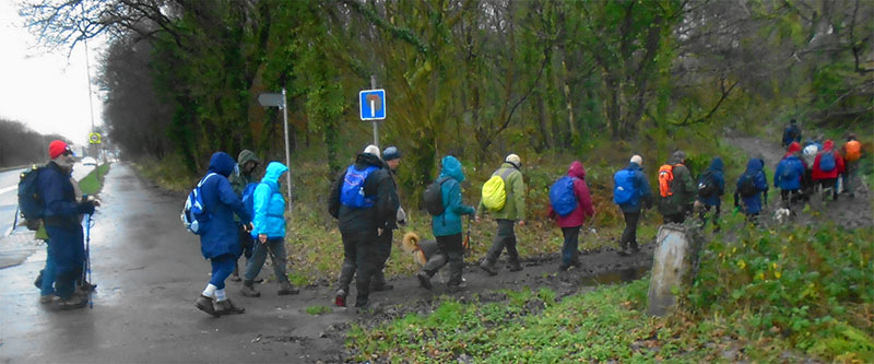 Photograph of Walking Route - Image 16