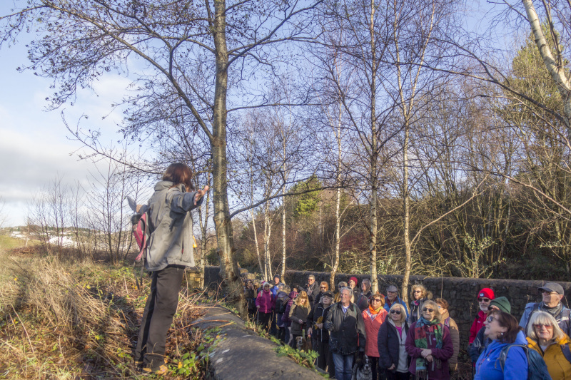 Photograph of Walking Route - Image 18