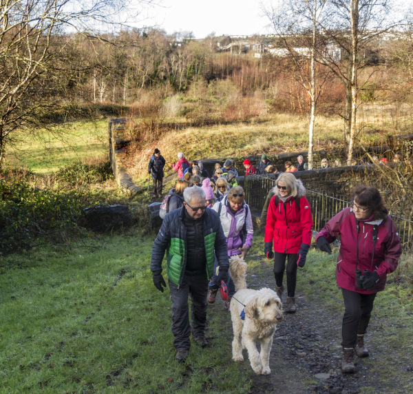 Photograph of Walking Route - Image 20