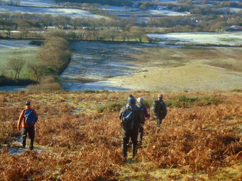 Photograph of Walking Route - Image 1